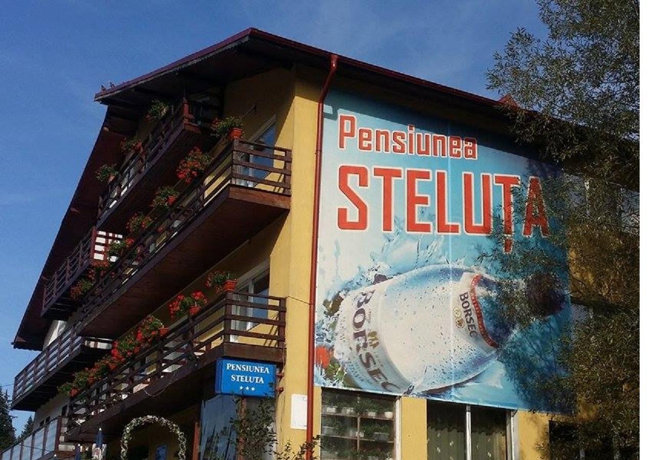 Pensiunea Steluta Предял Экстерьер фото